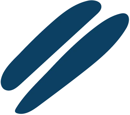 Services 1 Creative Agency About Ornament